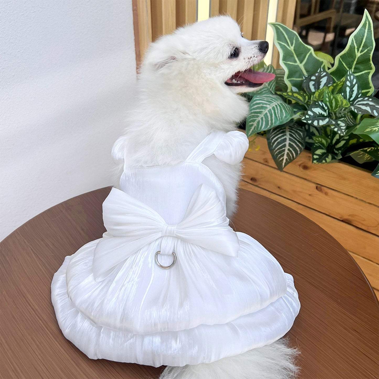 Dog and Cat Bow Dress Gown-White
