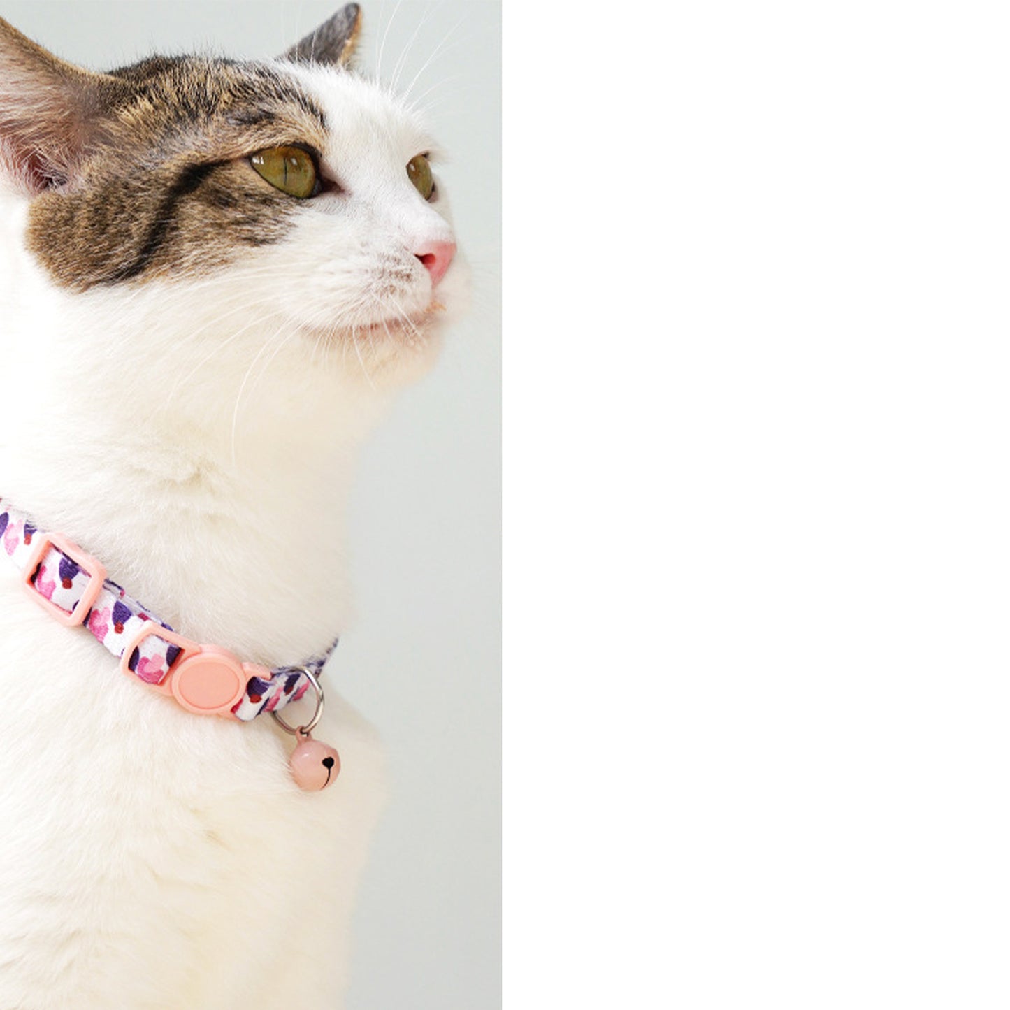 Adjustable Cat Dog Collar with Bell-Blush Pink