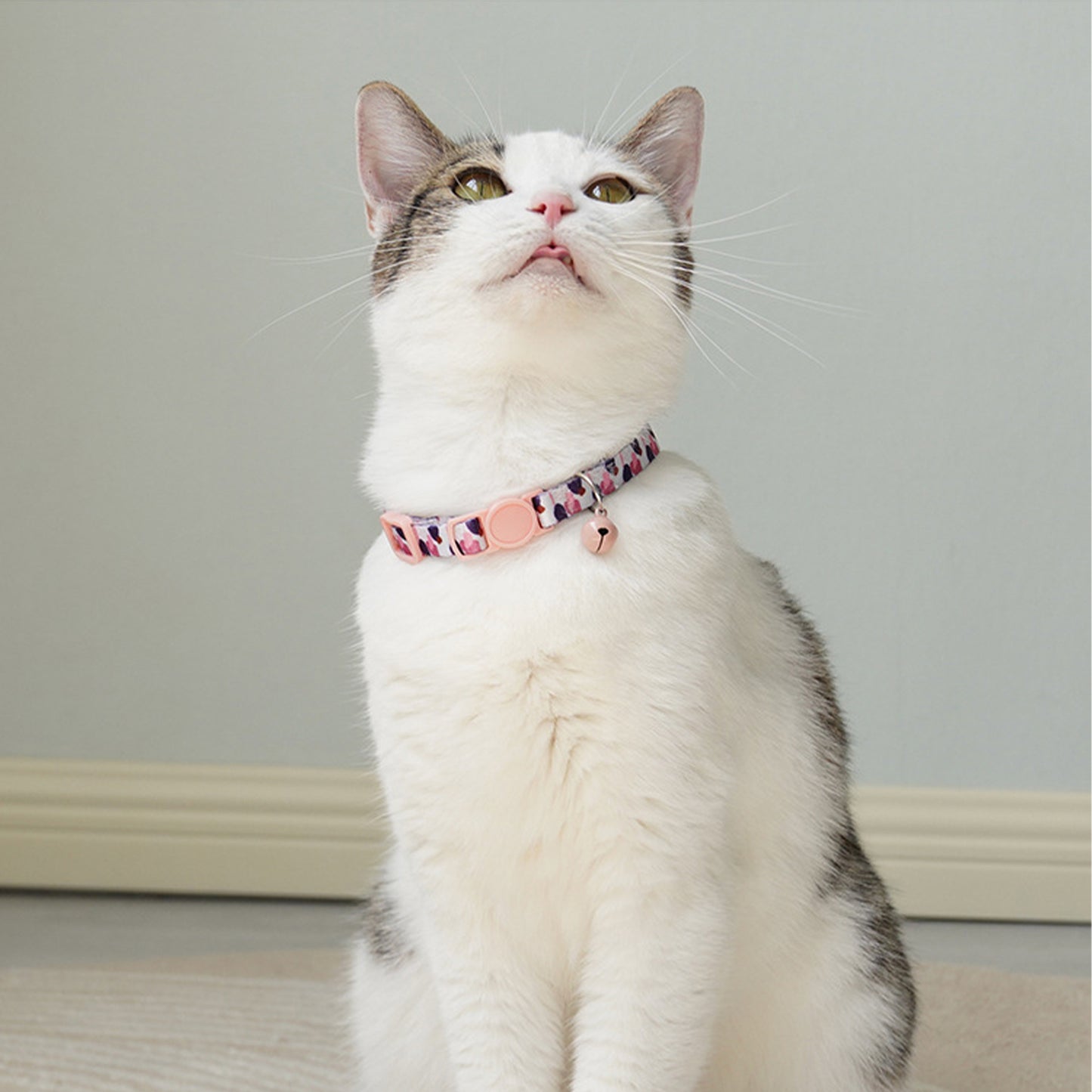 Adjustable Cat Dog Collar with Bell-Blush Pink