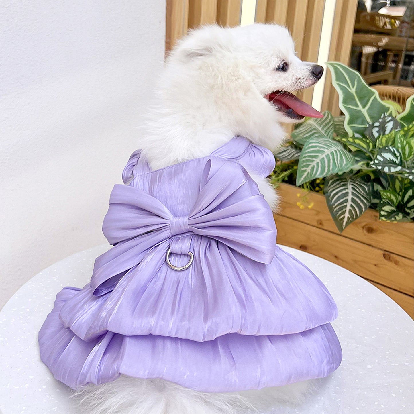 Dog and Cat Bow Dress Gown-Violet