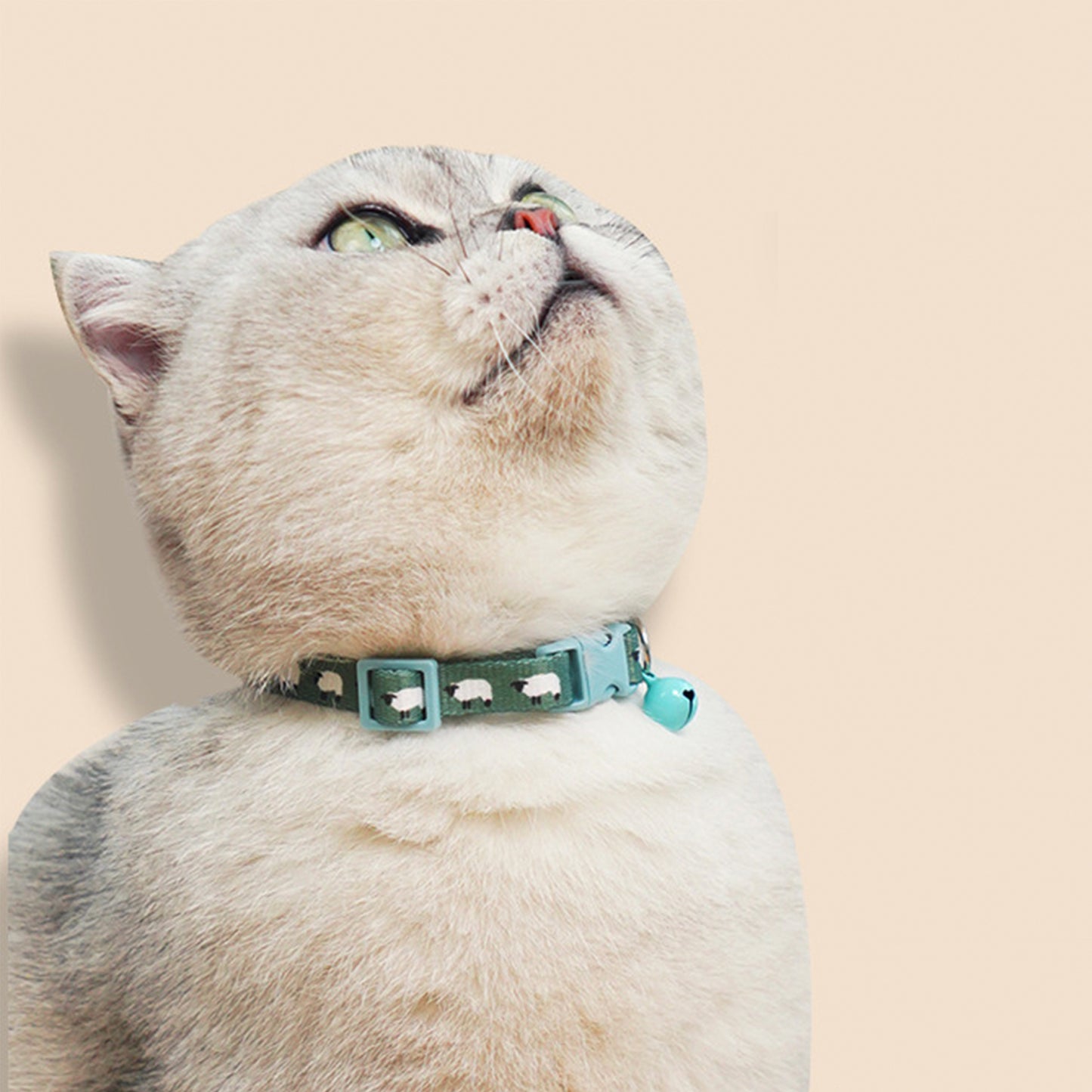 Adjustable Cat Dog Collar with Bell-Dolly’s Sheep